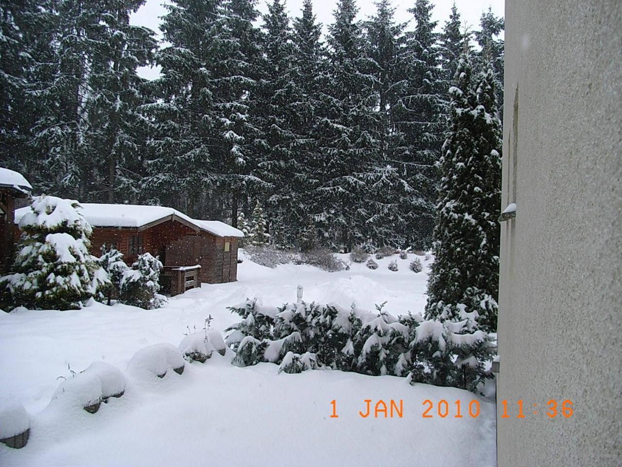 Blechleppel - Die Pension Im Harz Benneckenstein Buitenkant foto