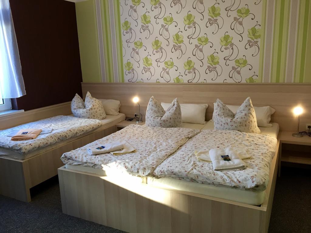 Blechleppel - Die Pension Im Harz Benneckenstein Kamer foto